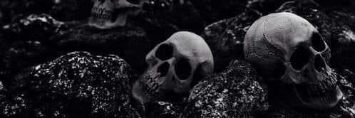XXX Blogs banner