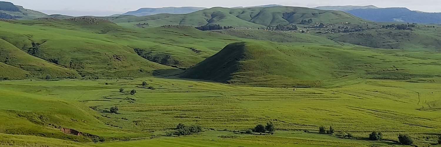 Hattori Hanzo🕶🎱 banner