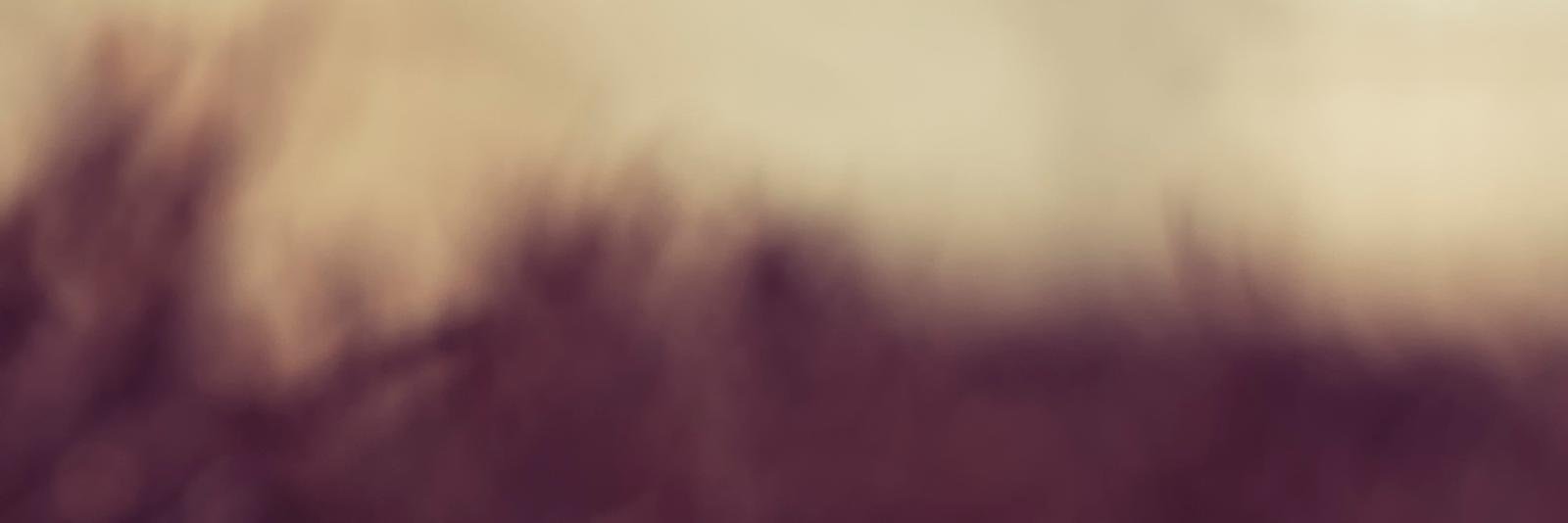 Axel_Burks's profile banner image
