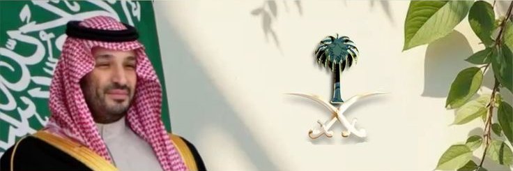 majedhdi's profile banner image