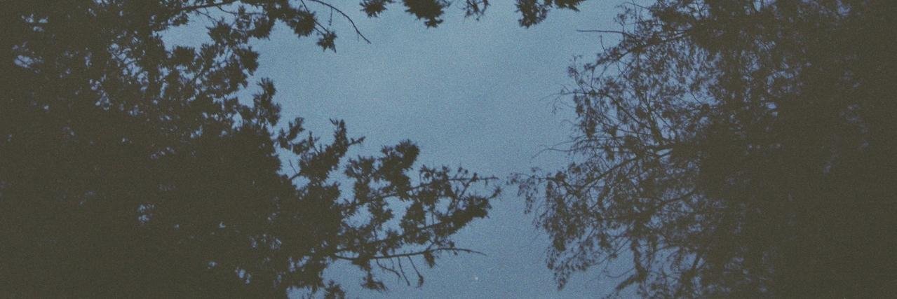Crocale's profile banner image