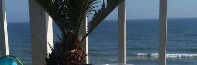 TRex28008500's profile banner image