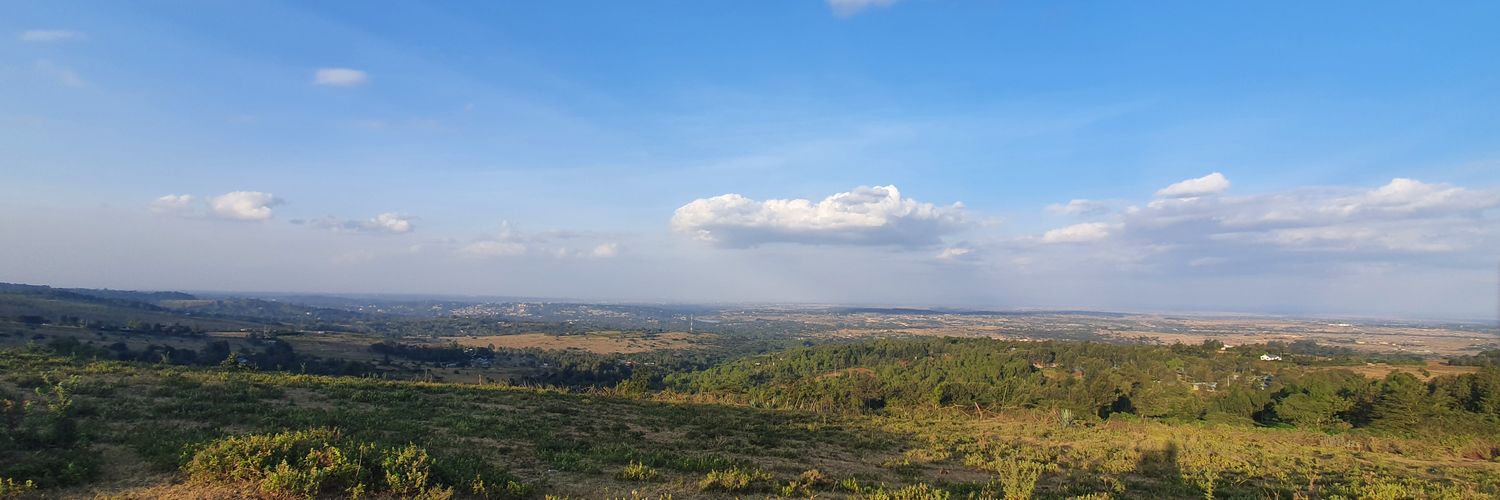 Mwenesi Musalia banner