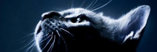 OtraAnaMile's profile banner image