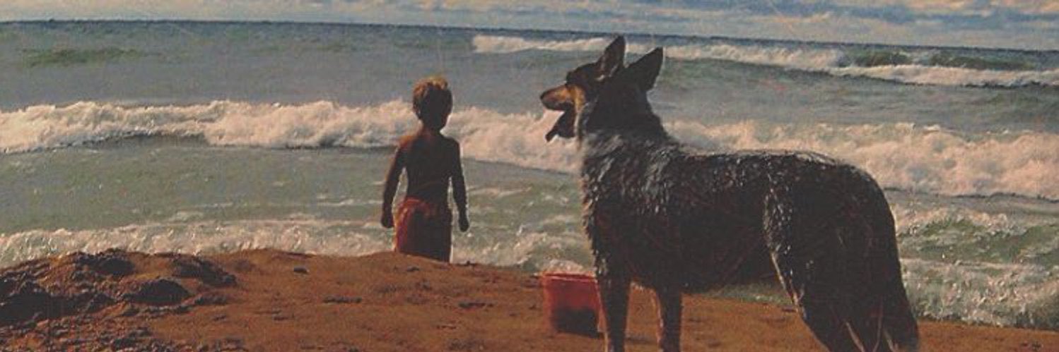 Lucasfcarroll's profile banner image