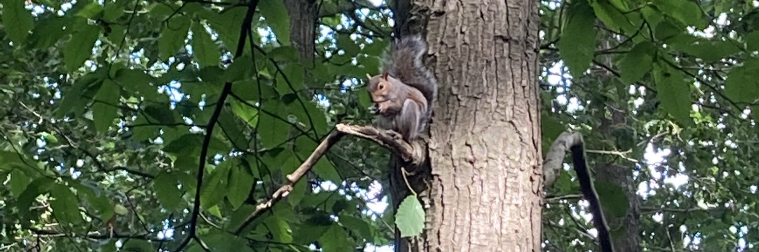 Angela Corbett banner