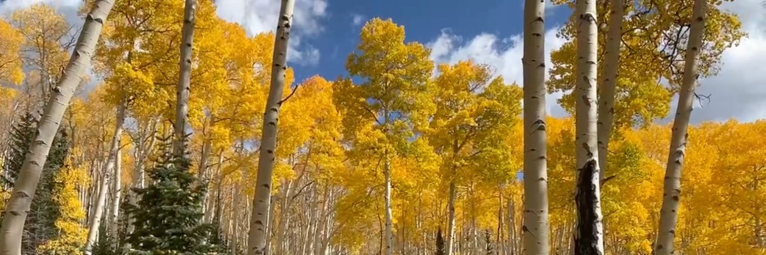 Damien Filiatrault banner