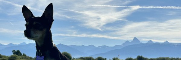 CoachMondt Profile Banner