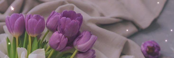 Lacy banner
