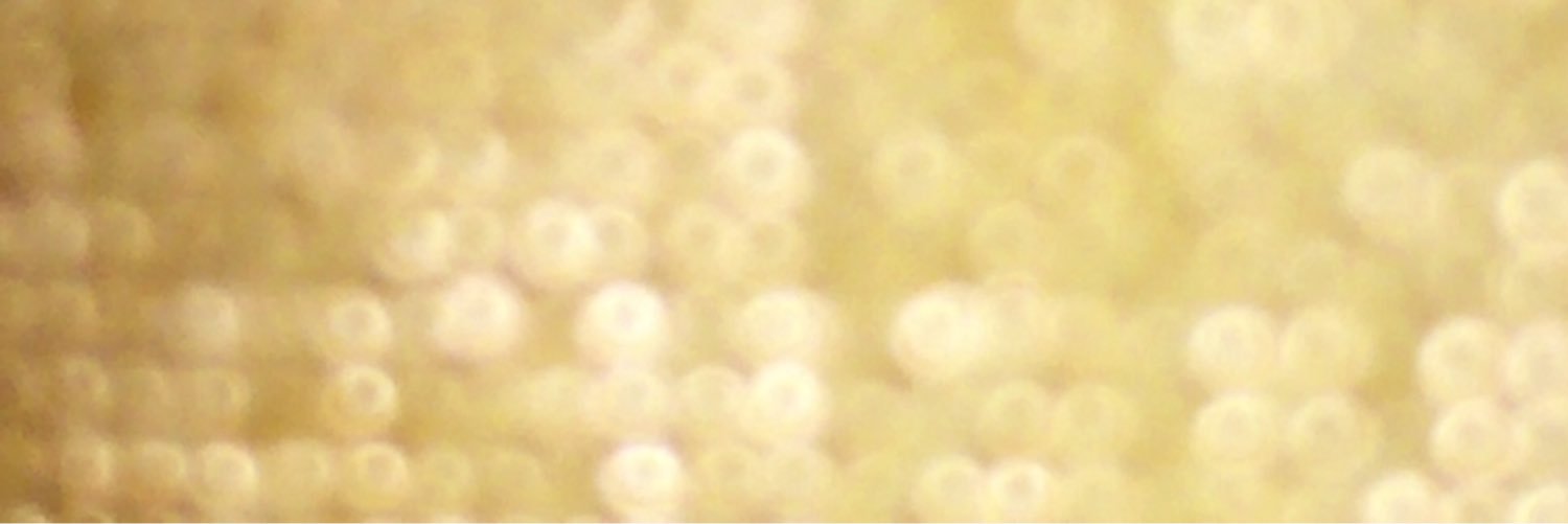 capricegc's profile banner image