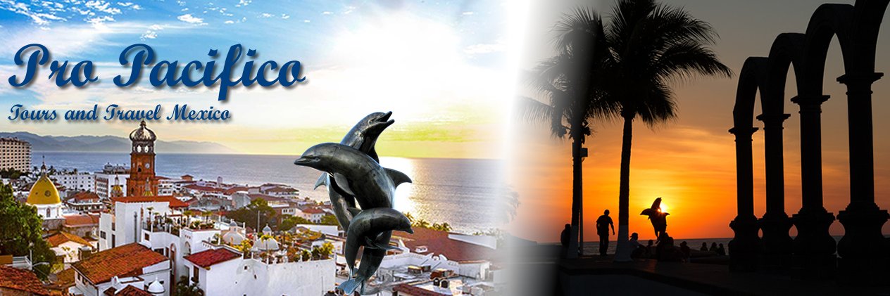 ProPacifico's profile banner image