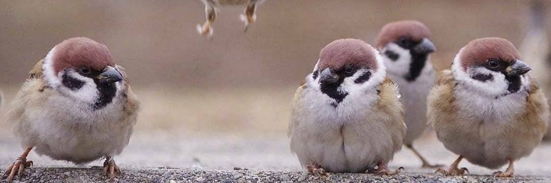 我是一头鲸 banner