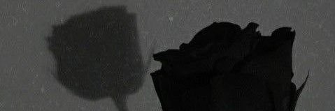 yourendlessrose's profile banner image