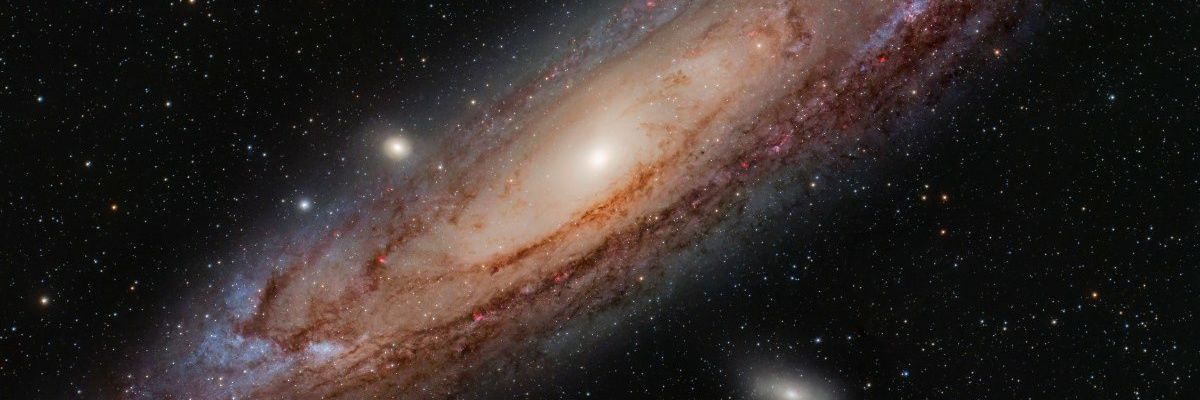 davidvet79's profile banner image