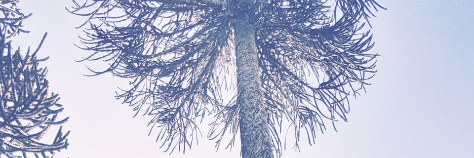 maraayen's profile banner image