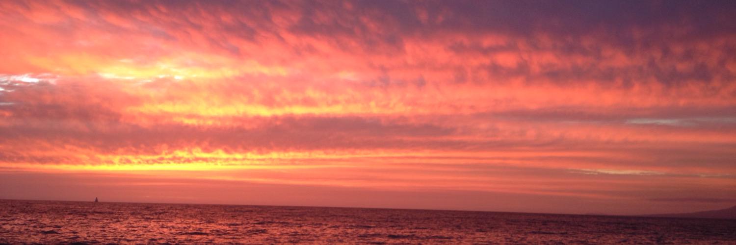 tecatin's profile banner image
