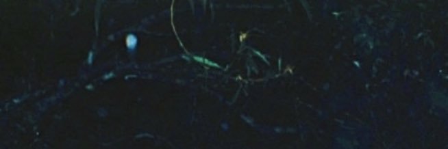 NoahPiontek's profile banner image