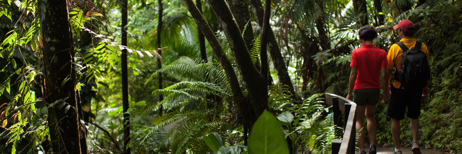 El Yunque NF banner