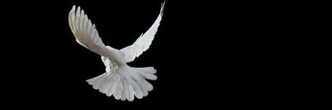 positive_rn's profile banner image