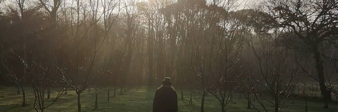 ms_thomason's profile banner image