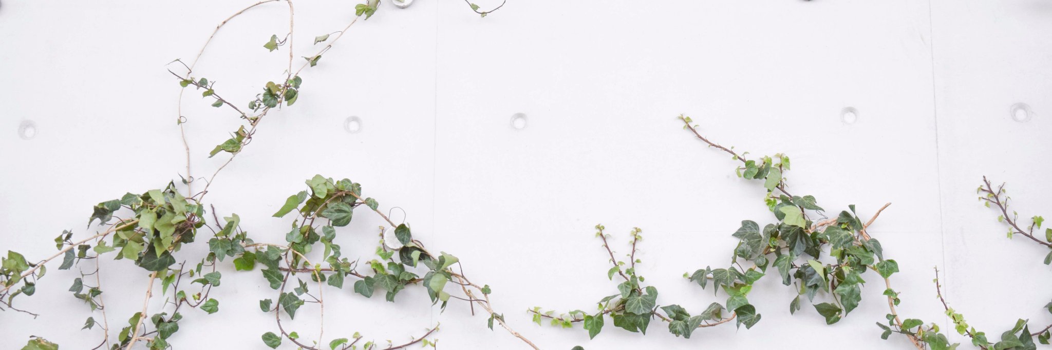 JoseTMar's profile banner image