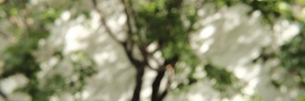 天池聖 amaike hijiri / drnco. banner