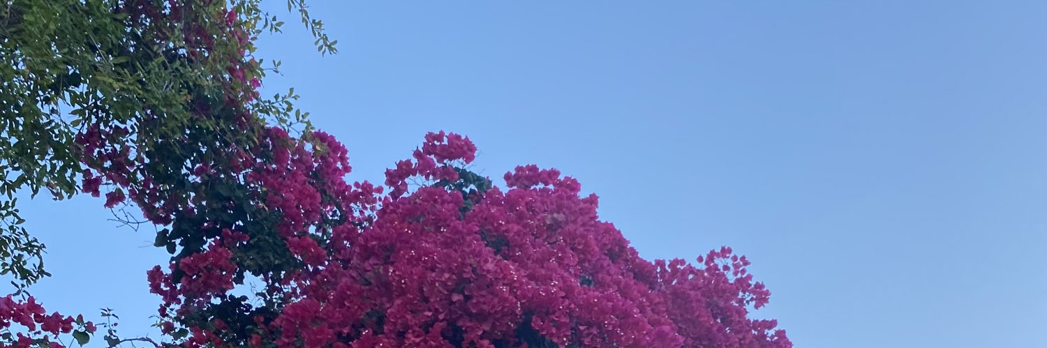 selinyk_'s profile banner image