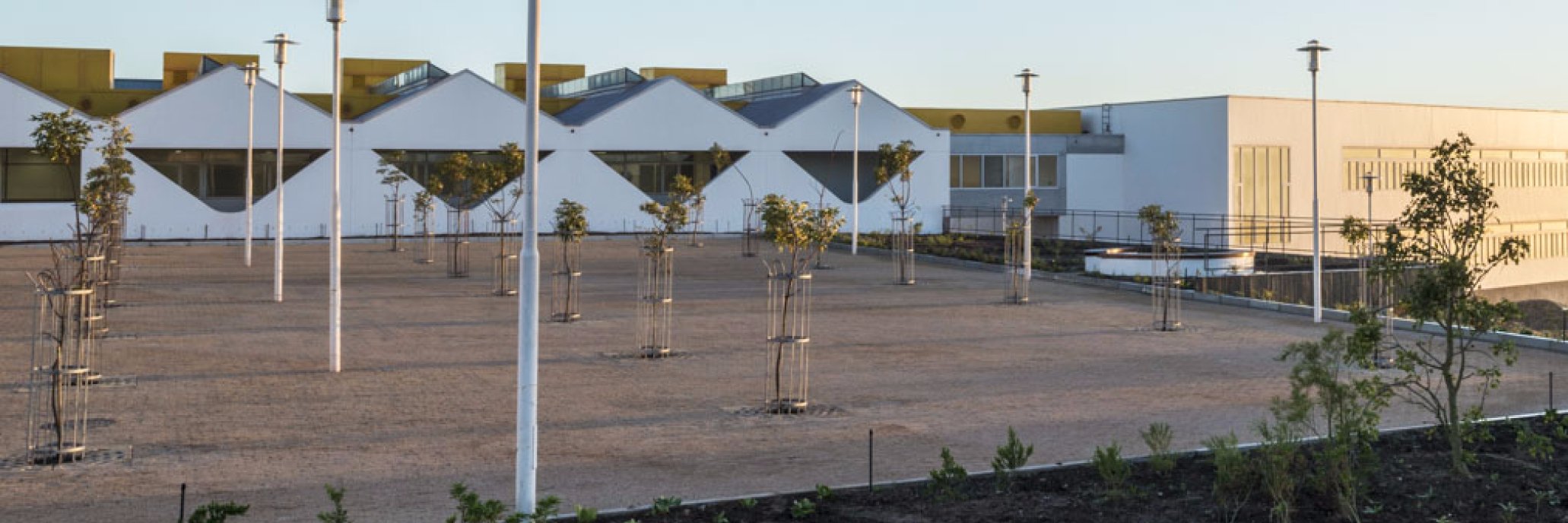 WolffArchitects's profile banner image