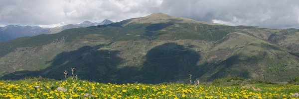 vallderibes Profile Banner