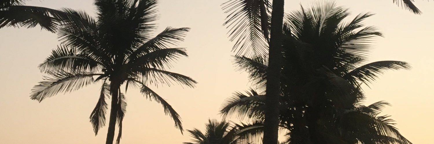 leachandrika's profile banner image