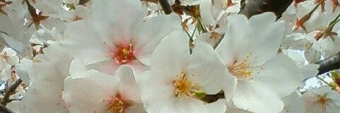 0711_6207's profile banner image