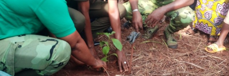 Agence Bénin-Presse banner