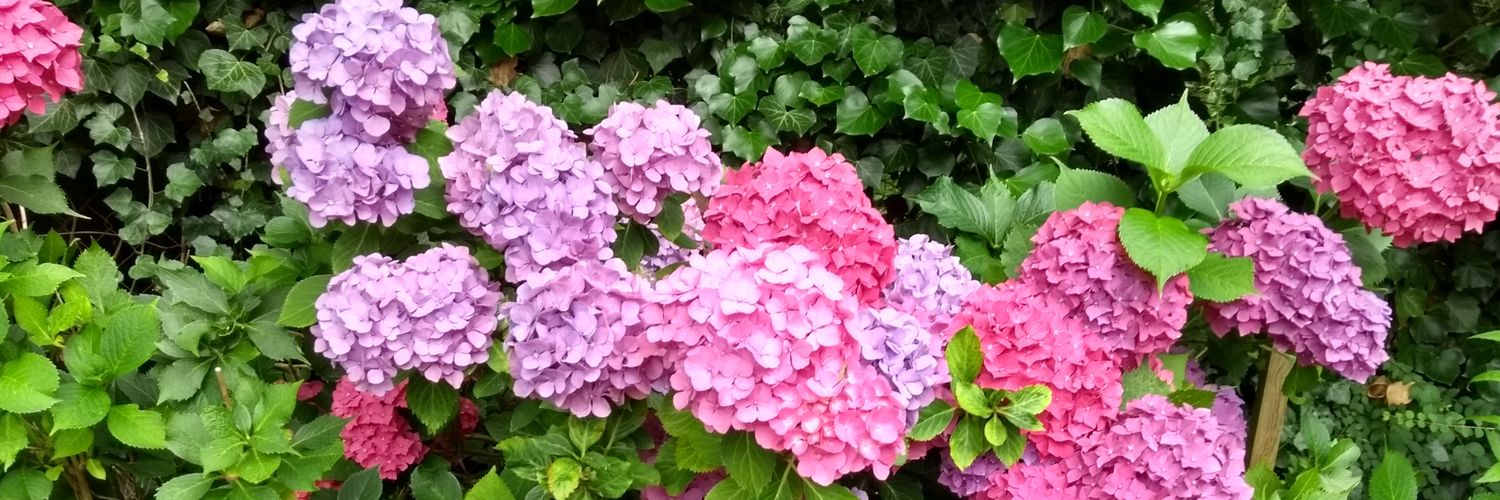 luentje93's profile banner image