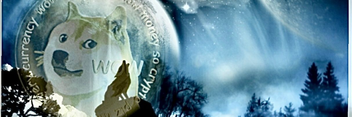 SofaKingDoge🫂 banner