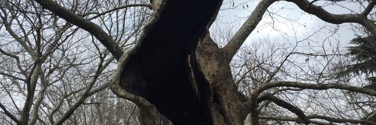 müslüm yücell banner