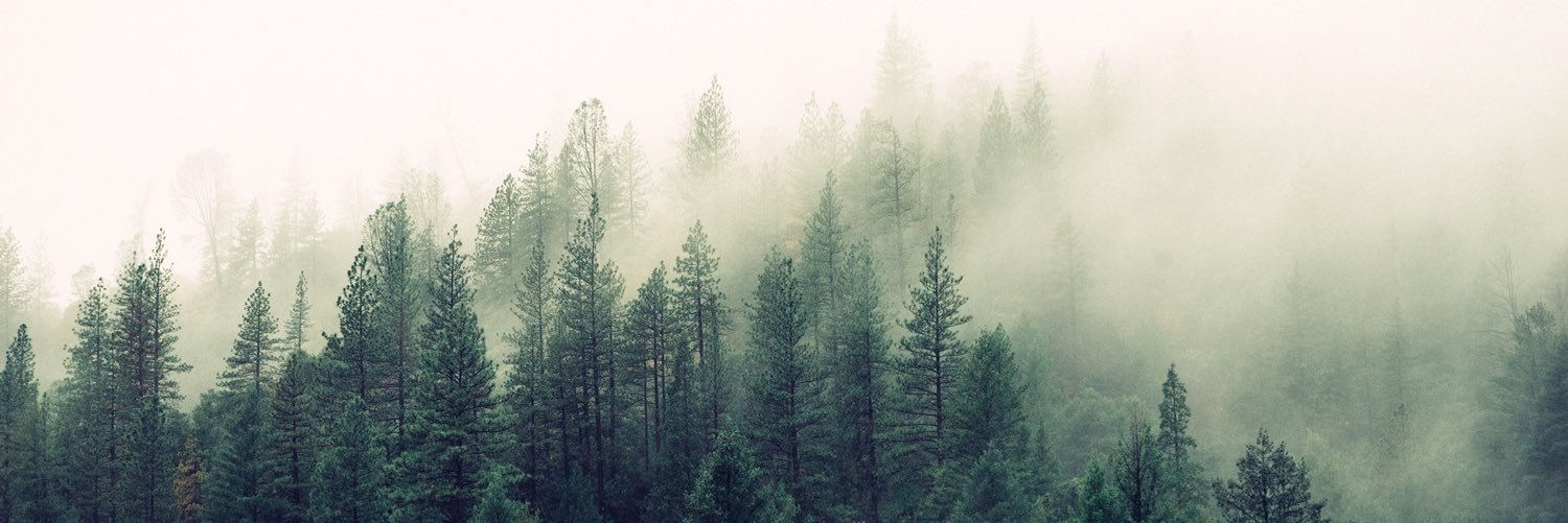 CovCedars's profile banner image