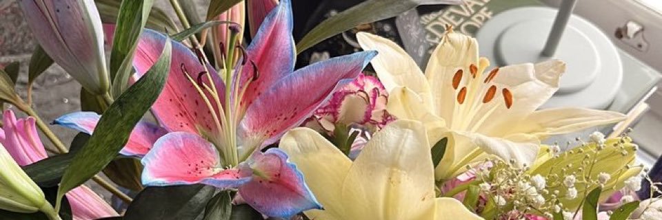 user1525356's profile banner image