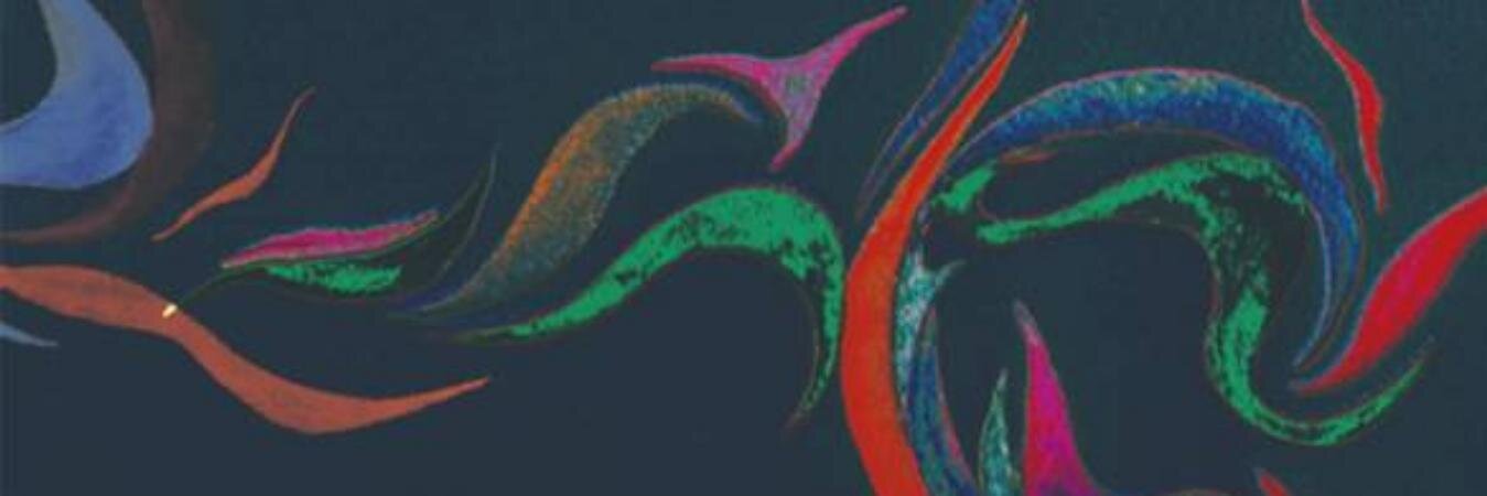 akinorishimura's profile banner image