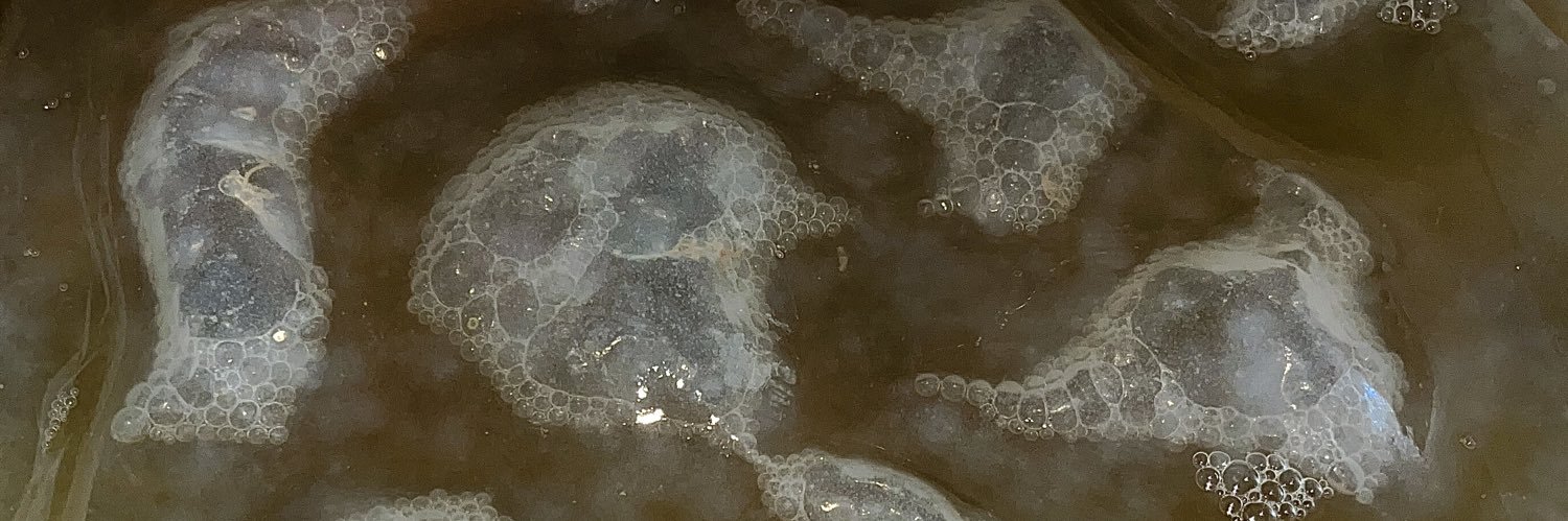 sigabigule banner