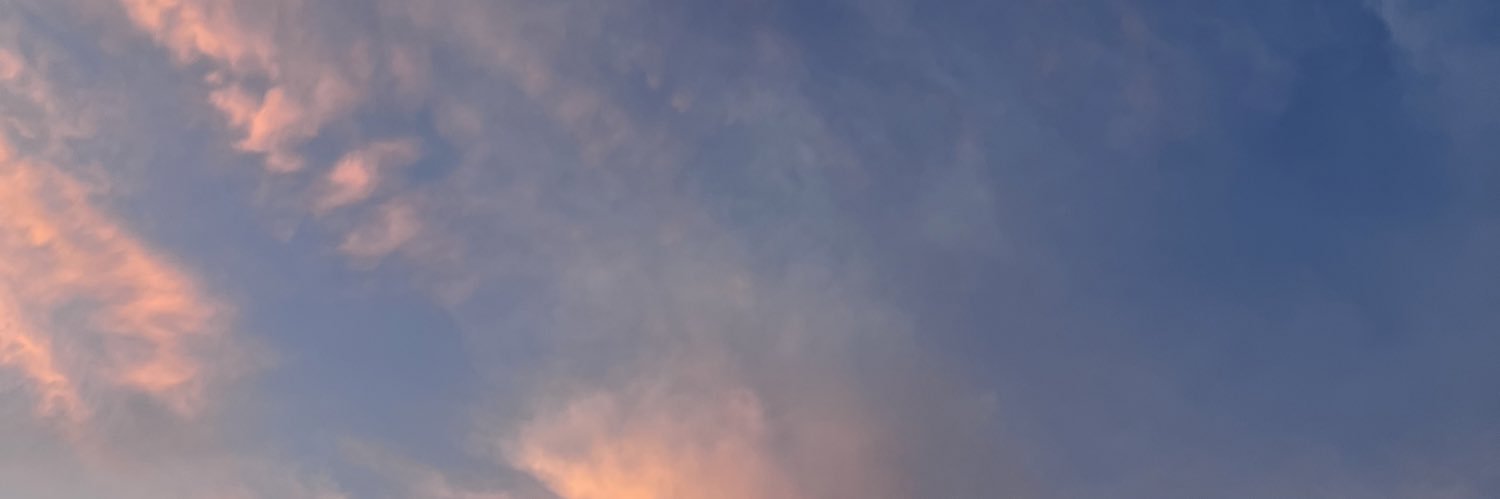 nssless's profile banner image
