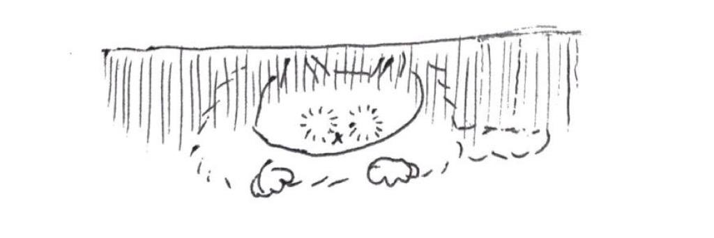 scmaron926's profile banner image