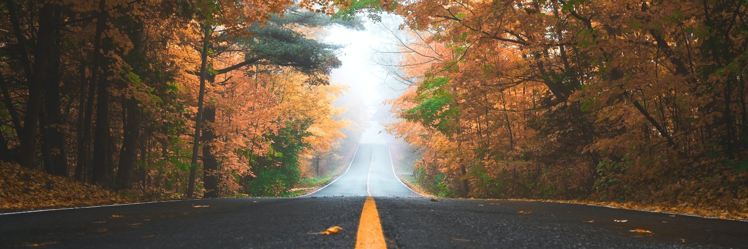 Alexandre Sitbon banner