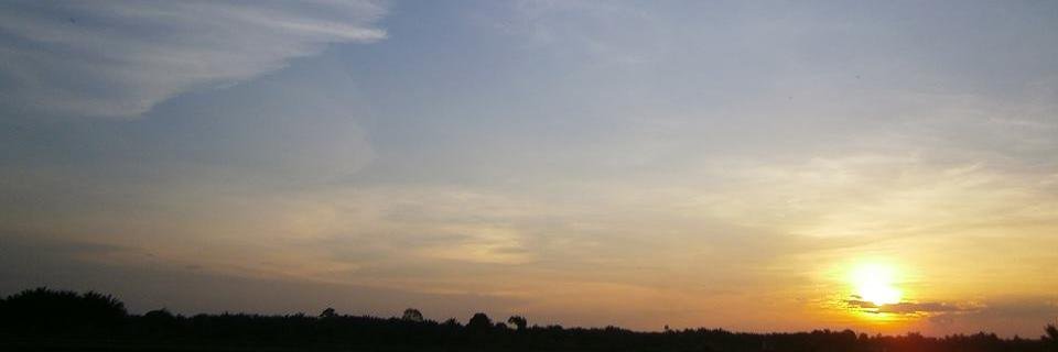 GoatchaStudent's profile banner image