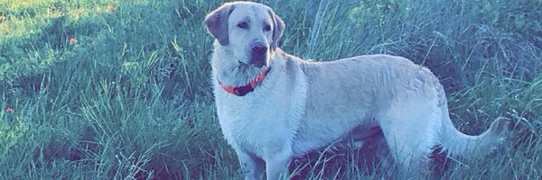 MontyLewis77 Profile Banner