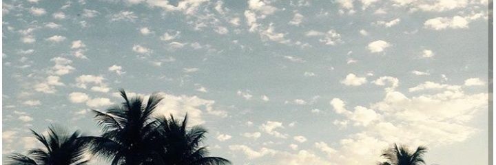 Isa banner