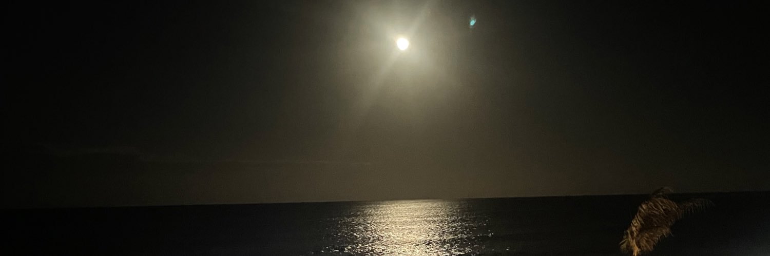 Richie_Rexx's profile banner image