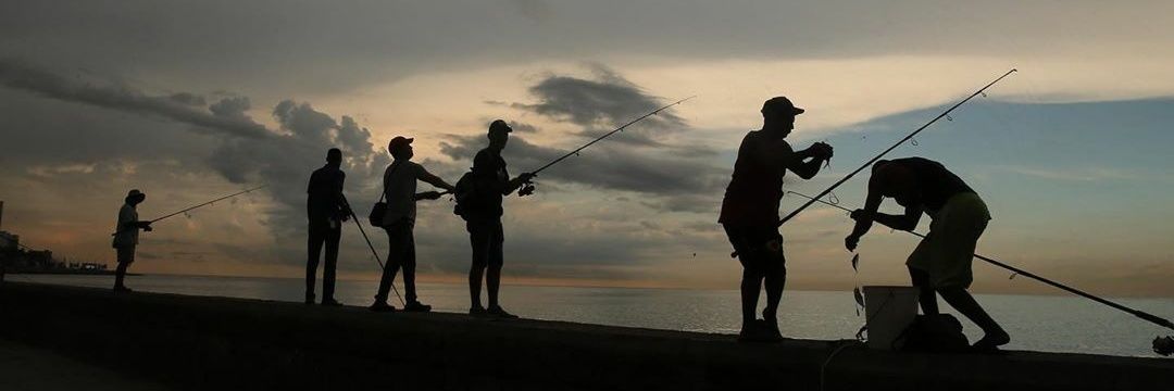 EdaDnmz's profile banner image
