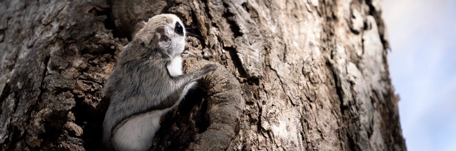 be_healthy2020 banner