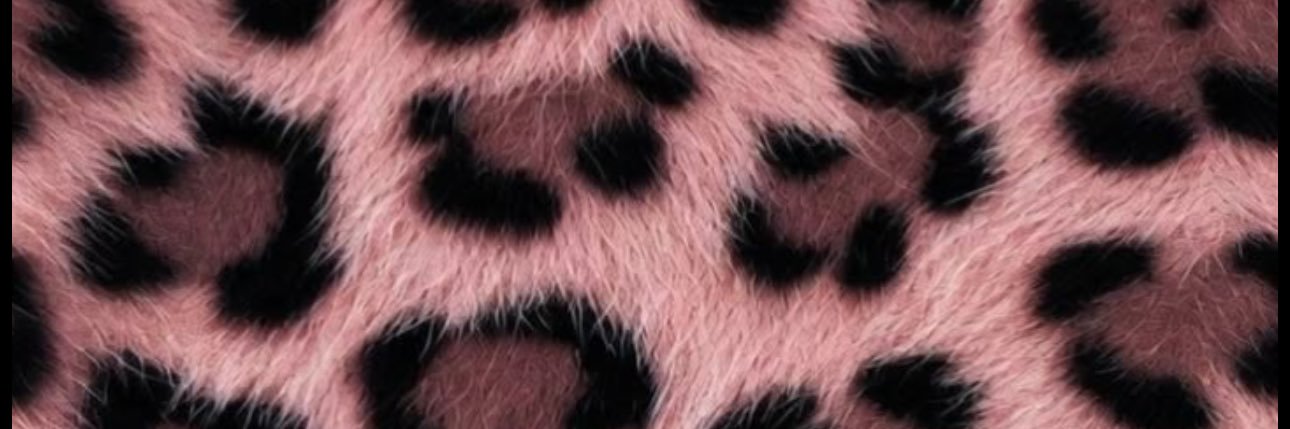 Lollipopi__'s profile banner image