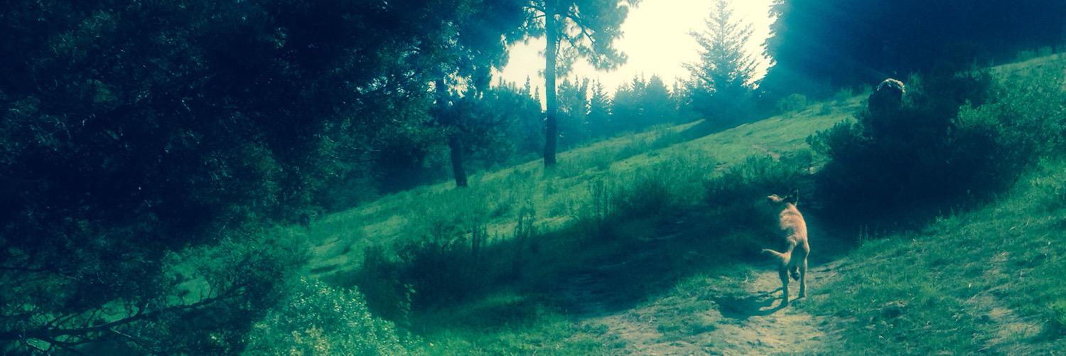 boniht's profile banner image